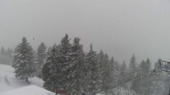 Snowparadise Veľká Rača