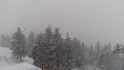 Lalíky vrcholová stanice