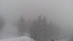 Lalíky vrcholová stanice