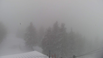 Snowparadise Veľká Rača