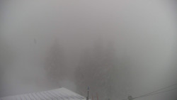 Lalíky vrcholová stanice