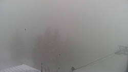 Lalíky vrcholová stanice