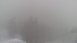 Lalíky vrcholová stanice