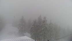 Lalíky vrcholová stanice