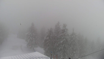 Snowparadise Veľká Rača