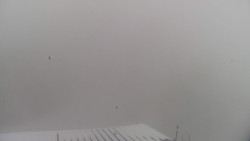 Lalíky vrcholová stanice