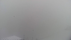 Lalíky vrcholová stanice