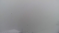 Lalíky vrcholová stanice