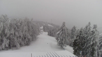 Snowparadise Veľká Rača