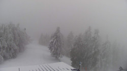 Lalíky vrcholová stanice