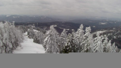 Lalíky vrcholová stanice