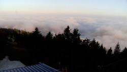 Lalíky vrcholová stanice