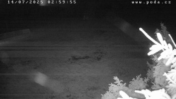 Snímek    14.7.2025 v 03:00