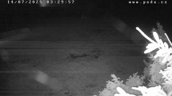 Snímek    14.7.2025 v 03:30