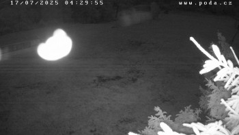 Snímek    17.7.2025 v 04:30