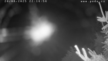 Snímek    20.8.2025 v 22:15