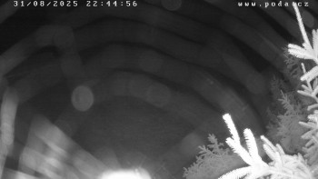 Snímek    31.8.2025 v 22:45