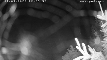 Snímek    1.9.2025 v 22:30