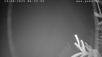 Snímek    14.10.2025 v 06:30