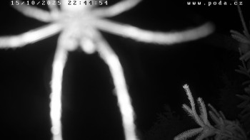 Snímek    15.10.2025 v 22:45