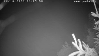 Snímek    22.10.2025 v 04:30