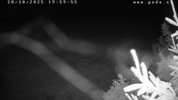 Snímek    28.10.2025 v 20:00