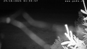 Ski klub Velké Meziříčí - Fajtův kopec - Sjezdovka - 29.10.2025 v 01:45 Ski klub Velké Meziříčí - Fajtův kopec - Sjezdovka - 29.10.2025 v 01:45