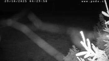 Snímek    29.10.2025 v 04:30