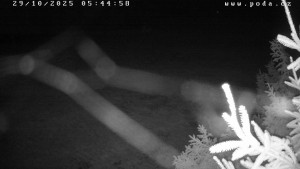 Ski klub Velké Meziříčí - Fajtův kopec - Sjezdovka - 29.10.2025 v 05:45 Ski klub Velké Meziříčí - Fajtův kopec - Sjezdovka - 29.10.2025 v 05:45