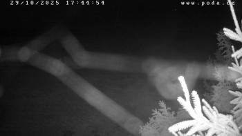 Snímek    29.10.2025 v 17:45