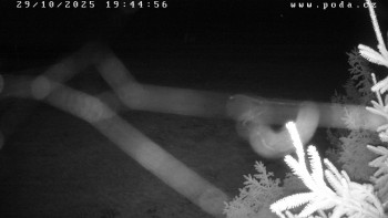 Snímek    29.10.2025 v 19:45