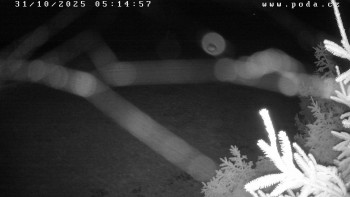 Snímek    31.10.2025 v 05:15