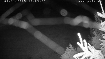 Snímek    1.11.2025 v 19:30