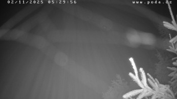 Snímek    2.11.2025 v 05:30