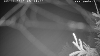 Snímek    2.11.2025 v 05:45