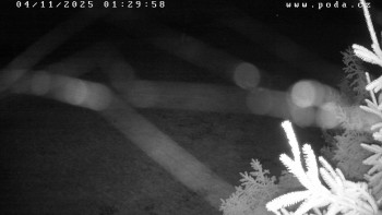 Snímek    4.11.2025 v 01:30