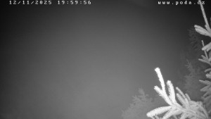 Ski klub Velké Meziříčí - Fajtův kopec - Sjezdovka - 12.11.2025 v 20:00 Ski klub Velké Meziříčí - Fajtův kopec - Sjezdovka - 12.11.2025 v 20:00