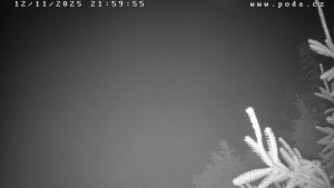 Ski klub Velké Meziříčí - Fajtův kopec - Sjezdovka - 12.11.2025 v 22:00 Ski klub Velké Meziříčí - Fajtův kopec - Sjezdovka - 12.11.2025 v 22:00