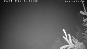 Snímek 15.11.2025 v 05:00