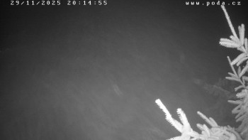 Ski klub Velké Meziříčí -...