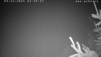 Ski klub Velké Meziříčí -...