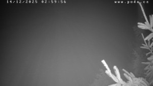 Ski klub Velké Meziříčí - Fajtův kopec - Sjezdovka - 14.12.2025 v 03:00 Ski klub Velké Meziříčí - Fajtův kopec - Sjezdovka - 14.12.2025 v 03:00