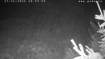 Ski klub Velké Meziříčí -...