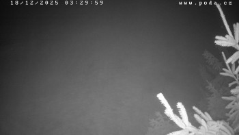 Ski klub Velké Meziříčí -...