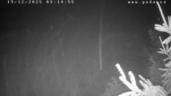 Ski klub Velké Meziříčí -...