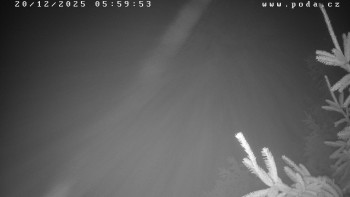 Ski klub Velké Meziříčí -...