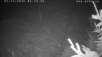 Ski klub Velké Meziříčí -...