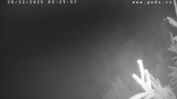 Ski klub Velké Meziříčí -...