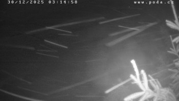 Ski klub Velké Meziříčí -...