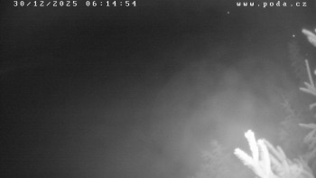 Ski klub Velké Meziříčí -...